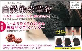 ザクロペインター